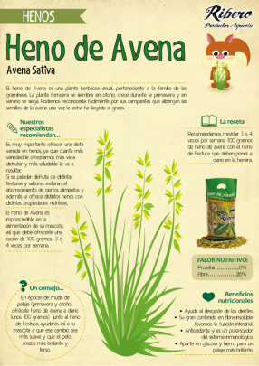 Hay-de-Avena-Ribero