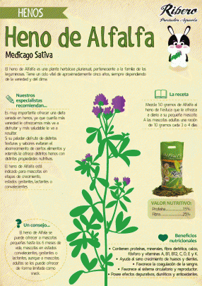 Ficha-heno-de-alfalfa