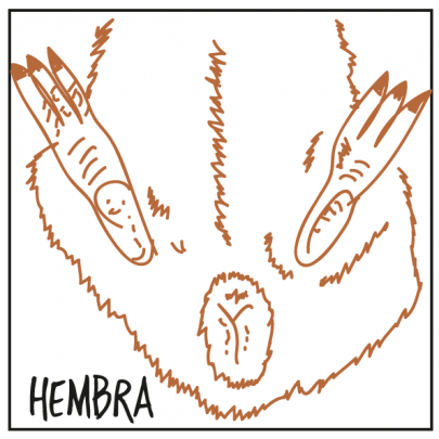 SEXAJE---COBAYA-HEMBRA