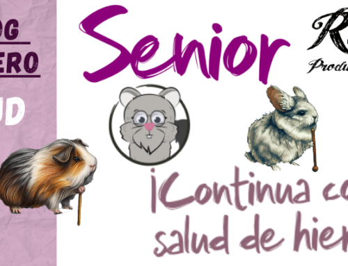 ETAPA SENIOR  ¡Continua con una salud de Hierro!