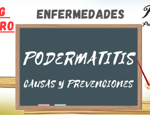 Causa y Prevenciones de la PODERMATITIS en conejos, cobayas y chinchillas.