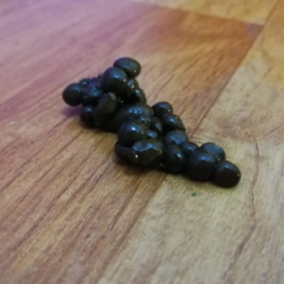 Sí, ¡una verdadera fábrica de bolitas! (1)