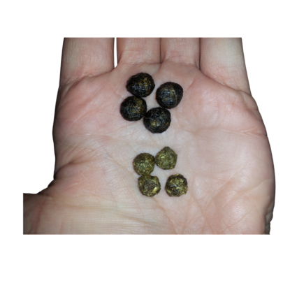 Sí, ¡una verdadera fábrica de bolitas!