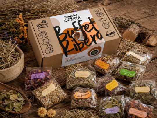 Natural guinea pig food and vitamin C | Ribero Ribero Guinea Pig Buffet with fescue hay, plants, vegetables and vitamin C foods