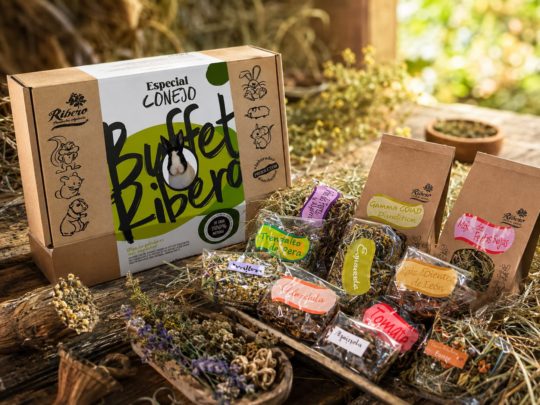 Alimentação natural e enriquecimento para coelhos | Ribero Buffet Coelho Ribero com feno de festuca, plantas, flores e elementos naturais para roer