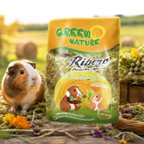 Natural food with vitamin C for guinea pigs – Green Nature Natural Green Nature Natural food for guinea pigs with vitamin C and visible ingredients