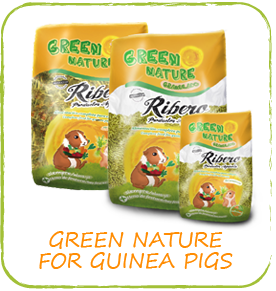 Natural food with vitamin C for guinea pigs – Green Nature Green Nature natural food with vitamin C for guinea pigs