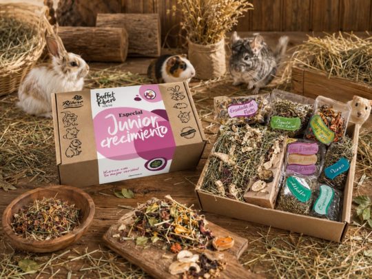 Buffet Healthy Junior Ribero para coelhos e pequenos roedores
