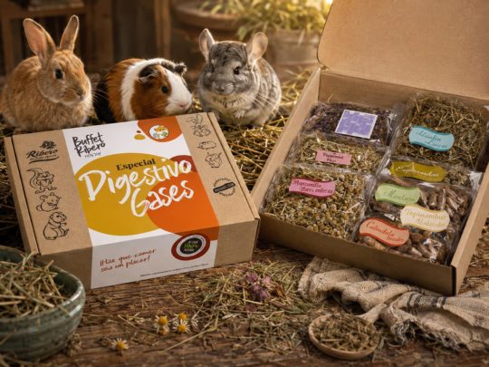 Buffet Healthy Digestivo Ribero. Buffet Healthy Digestivo Ribero con heno, plantas, hojas, flores y pellets