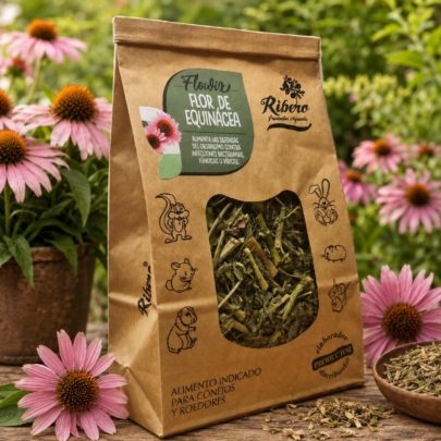 Echinacea for Rabbits and Rodents | FLOWIX Ribero Echinacea flower for rabbits and small rodents by FLOWIX Ribero