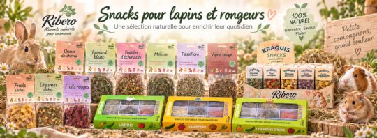 Snacks naturels pour lapins et rongeurs | Ribero Snacks naturels pour lapins et rongeurs Ribero